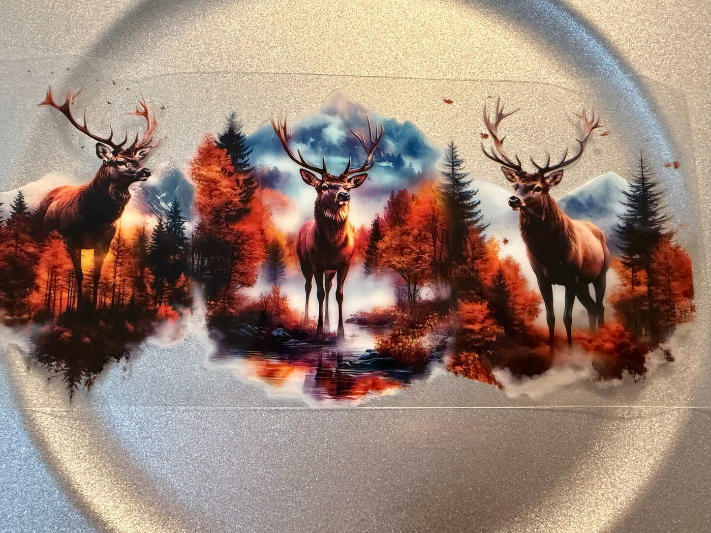 16 oz. Animals General 14