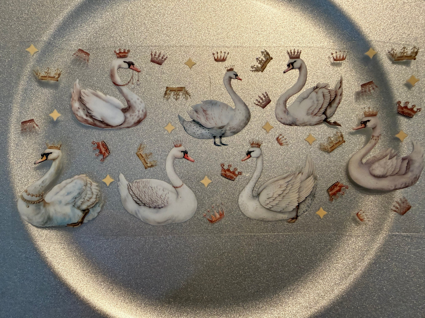 16 oz. Animals General 25