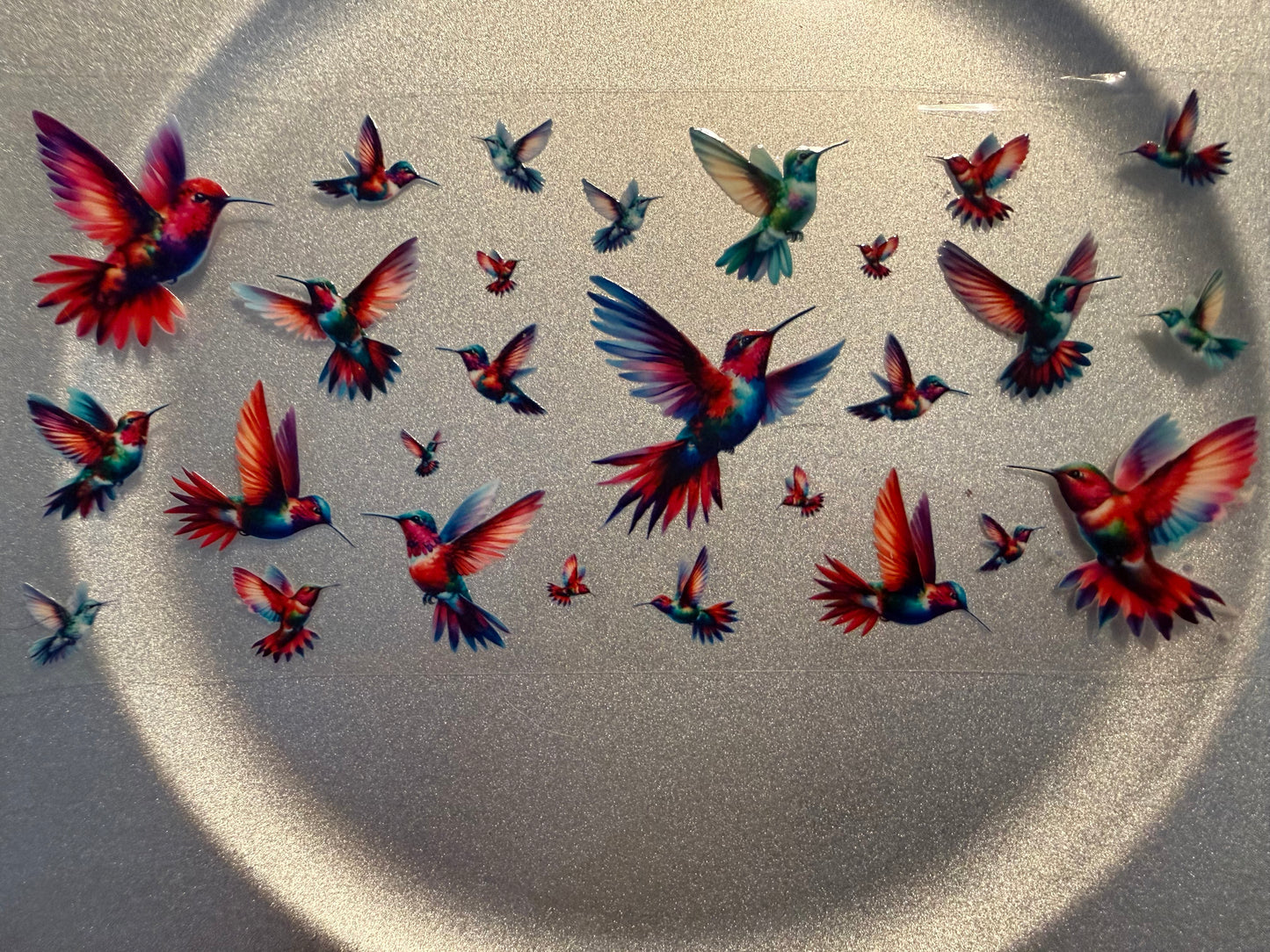 16 oz. Animals General 36