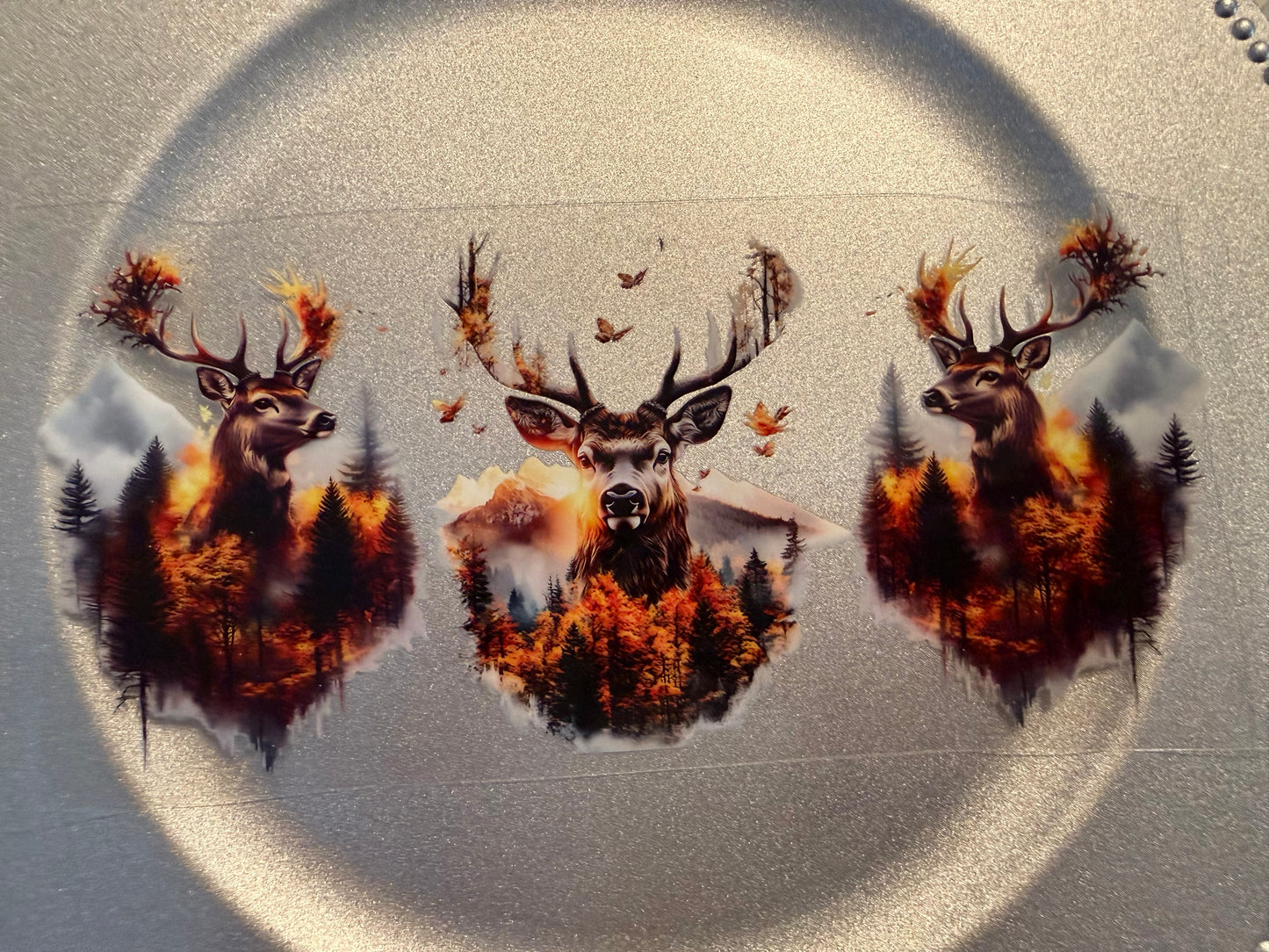 16 oz. Animals General 94