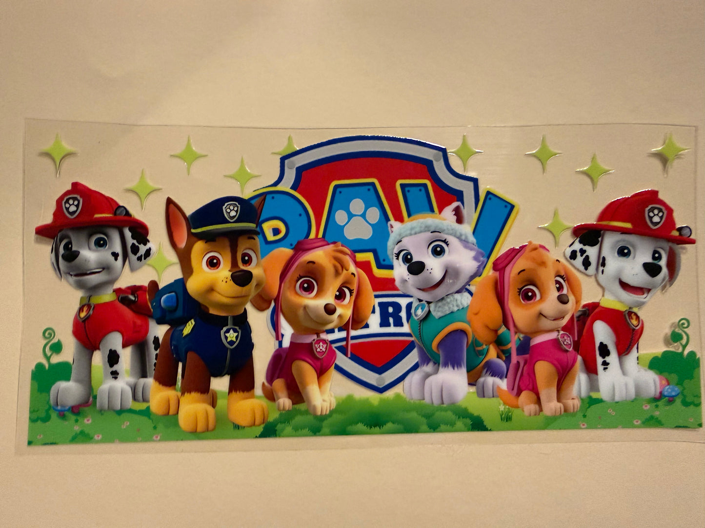 16 oz. Paw Patrol 16