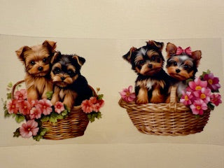 16 oz. Cats and Dogs 223