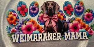 16 oz. Cats and Dogs 89