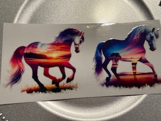 16 oz. Horses Wrap 43