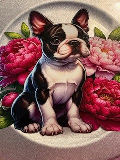 20 oz. Cats and Dogs 12