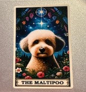 Decal Cats and Dogs 09