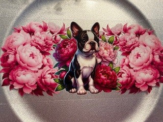 16 oz. Cats and Dogs 64