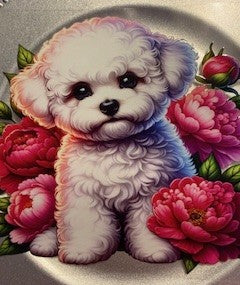 20 oz. Cats and Dogs 06