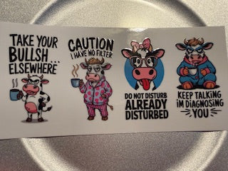 16 oz. Snarky/Sarcastic/Bad Words 06