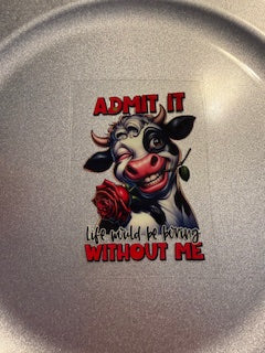 Decal Snarky/Sarcastic 02