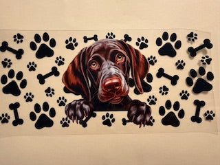 16 oz. Cats and Dogs 310