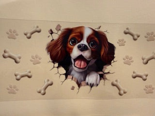 16 oz. Cats and Dogs 264
