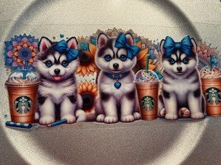 16 oz. Cats and Dogs 48