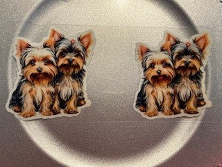 16 oz. Cats and Dogs 52