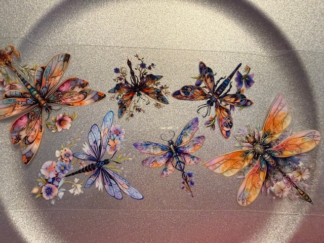 16 oz. Butterflies 101