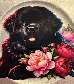 20 oz. Cats and Dogs 03