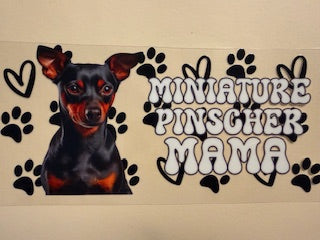 16 oz. Cats and Dogs 288