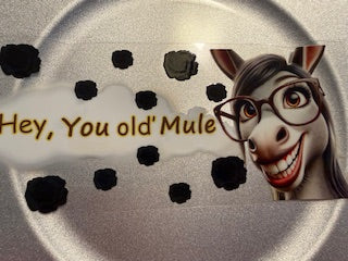 16 oz. Snarky/Sarcastic/Bad Words 39