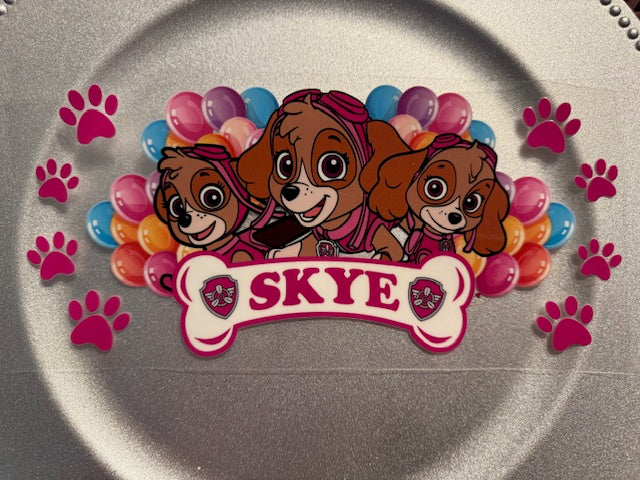 16 oz. Paw Patrol 07