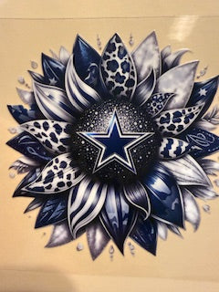 Decal Pro/College Sports 32