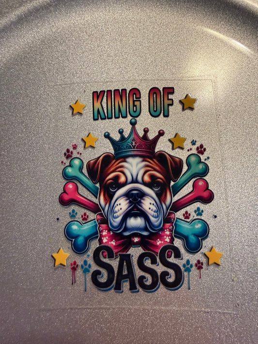 Decal Snarky/Sarcastic 176