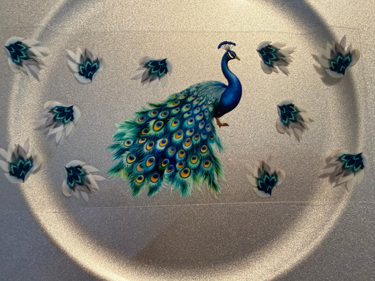 16 oz. Animals General 23