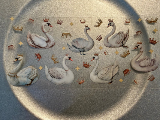 16 oz. Animals General 25