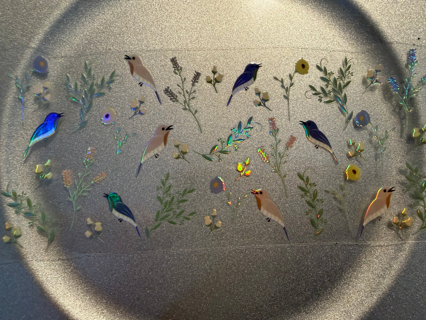 16 oz. Animals General 57