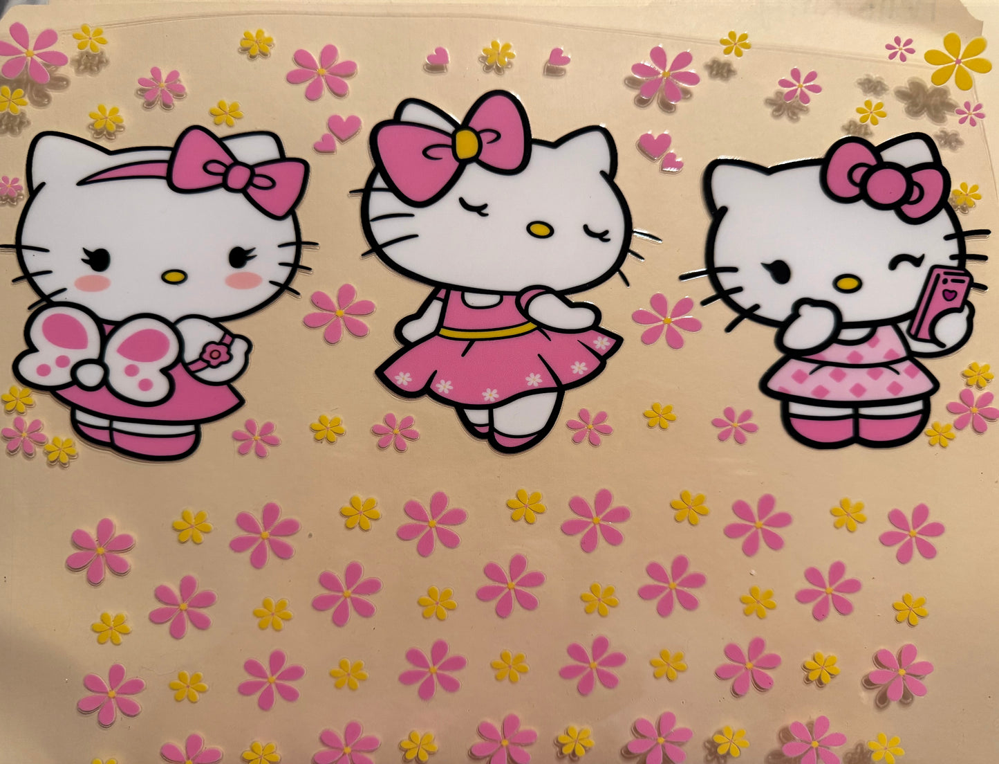 40 oz. Hello Kitty 05