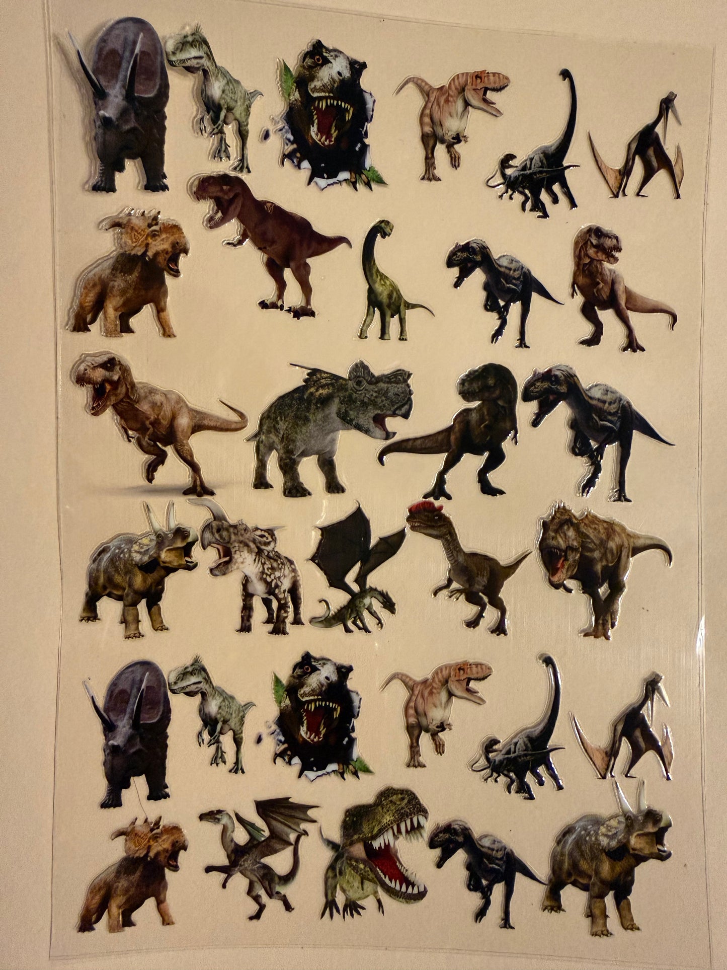 Animal Wrap A5 106