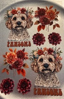 Cats and Dogs A5 045