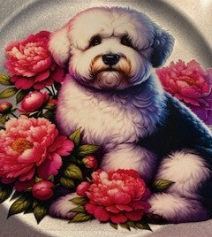 20 oz. Cats and Dogs 16