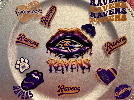 20 oz. Pro/College Sports Wrap 17