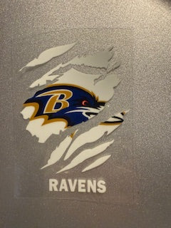 Decal Pro/College Sports 19