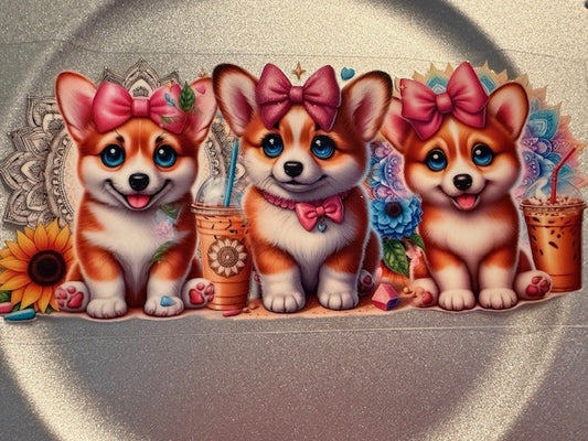 16 oz. Cats and Dogs 209