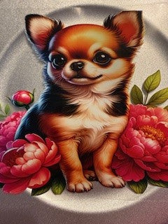 20 oz. Cats and Dogs 05