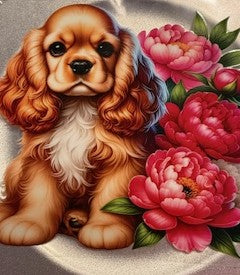 20 oz. Cats and Dogs 09