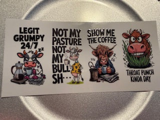 16 oz. Snarky/Sarcastic/Bad Words 07