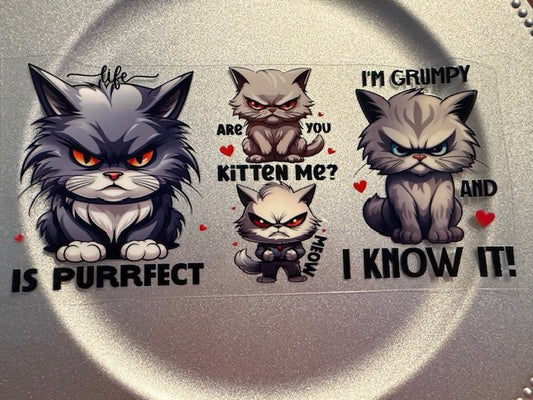 16 oz. Cats and Dogs 210