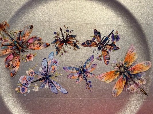 16 oz. Butterflies 101