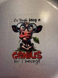 Decal Snarky/Sarcastic 05