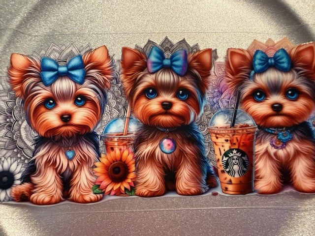 16 oz. Cats and Dogs 212