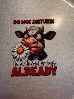 Decal Snarky/Sarcastic 06