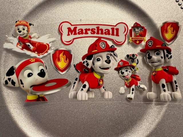 16 oz. Paw Patrol 08