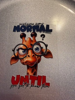 Decal Snarky/Sarcastic 13