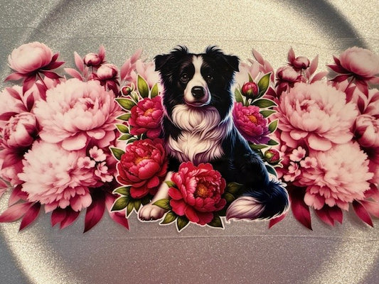 16 oz. Cats and Dogs 214