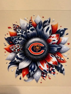 Decal Pro/College Sports 33