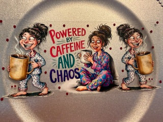 16 oz. Snarky/Sarcastic/Bad Words 17