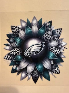 Decal Pro/College Sports 31